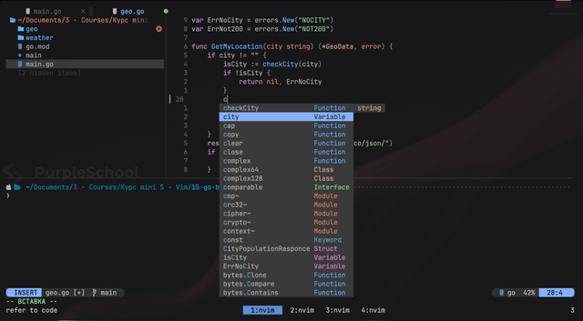 Сборка Neovim